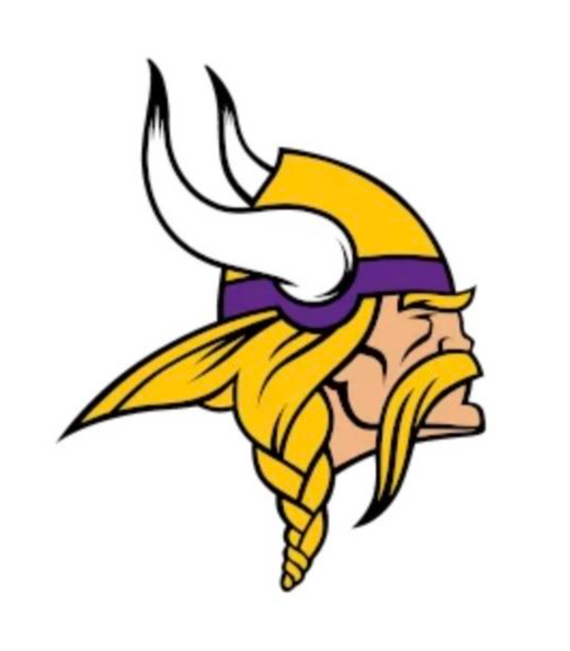 Hollister Vikings gear