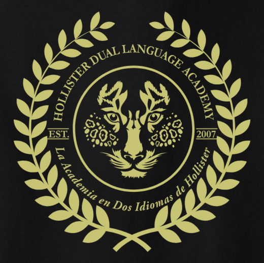 HDLA Spirit gear