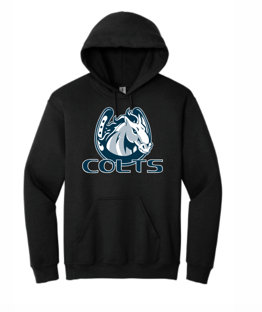 CPMS Faculty Heavy Blend Hooded Sweatshirt-18500