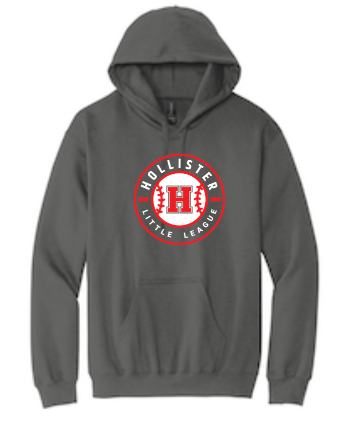 Hollister Little League Pullover Hooded Sweatshirt