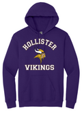 YOUTH- Hollister Vikings Heavy Blend Hooded Sweatshirt